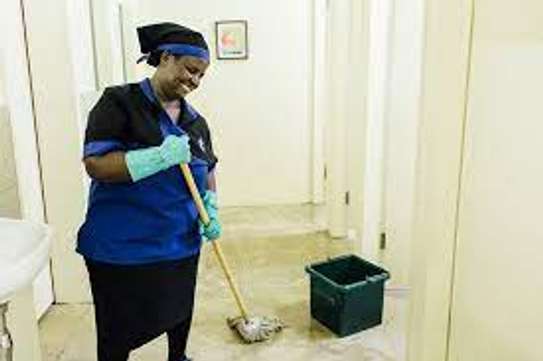 Cleaning services Hurlingham Highrise Highridge,Adams,Ruaka image 4
