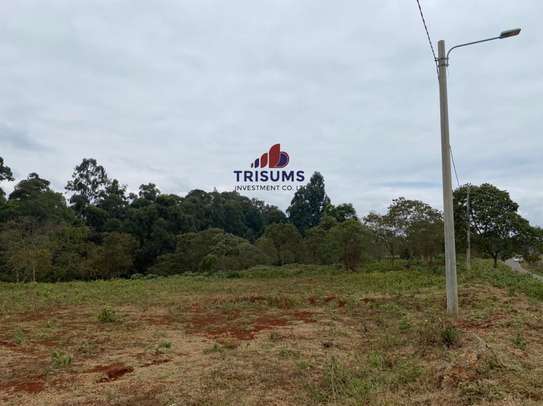 1 ac Residential Land in Kitisuru image 20