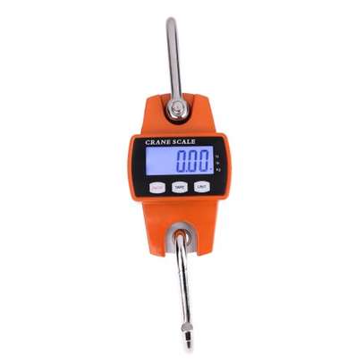 300kg X 100g Portable LCD Digital Stainless Steel Hook Mini Electronic Hook image 4