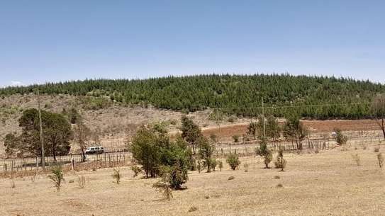 0.25 ac Land at Kipkorgot image 17