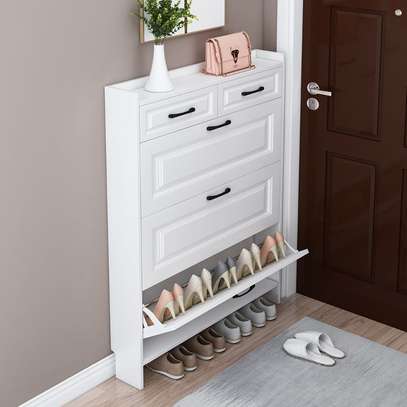Modern Shoe Storage Cabinet image 7