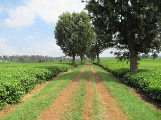 Blocks of Land For Sale in Cianda Area, Kiambu image 2