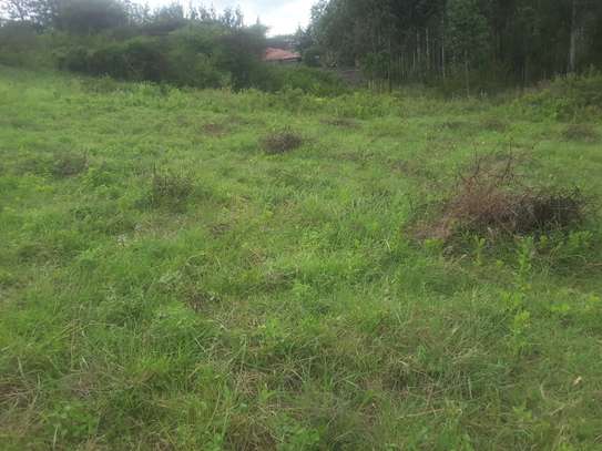 Beautiful one eighth plots in Ngong image 9