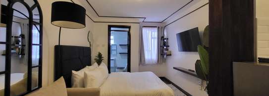 Studio Apartment with Gym at School Lane image 4