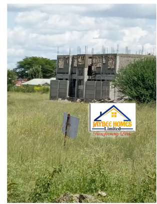 Katani Gardens (Touching Tarmac) image 2