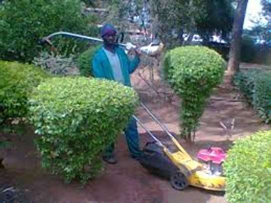 Bestcare Gardening Services Nairobi Kikuyu,Limuru,Kiambu image 1