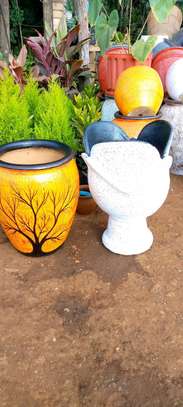 Beautiful Clay flower pots and Flowers image 2