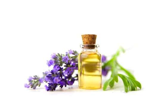 Lavender Oil image 2