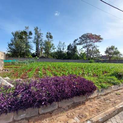 Land at Garden Estate Rd image 5