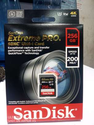 SD 256gb Extreme Pro image 1