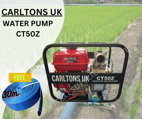 Carltons Gasoline Water Pump image 1
