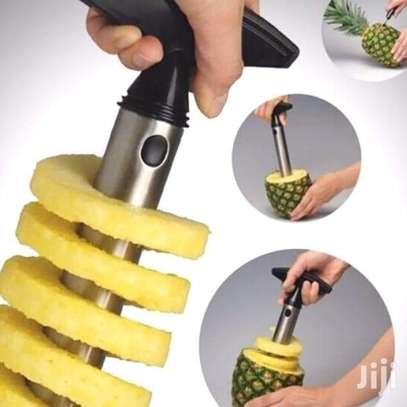 Pineapple Peeler image 1