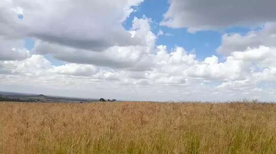 2,000 Acres Irrigated Is Available For Lease in Narok image 2