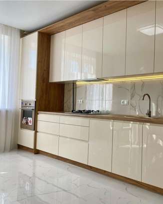 LABARATORY CABINETS image 3
