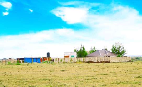 Mwalimu farm Affordable Residential plots for sale-50*100 image 2