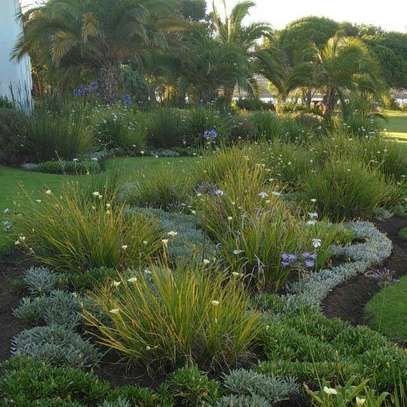 Hire Professional Gardeners In Nairobi.Contact Bestcare,Your reliable gardening service provider. image 9