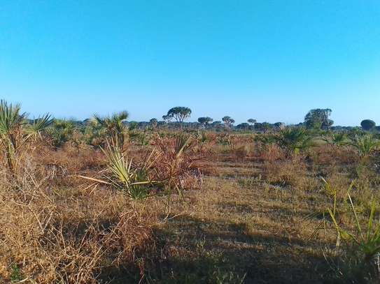 33 ac Commercial Land at Kiwengu image 6