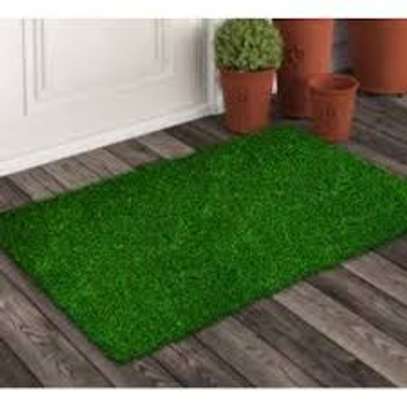 WALL TO WALL GRASS CARPET image 3