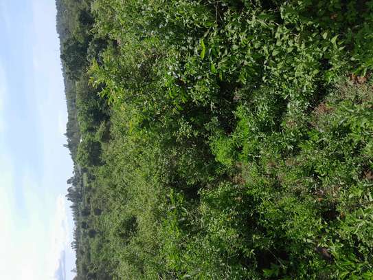 PRIME LAND AT The NEW GOVERNOR'S OFFICE HOMA BAY image 5