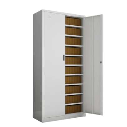 Office Cabinet: 2-Door Metallic Office Cabinet image 2