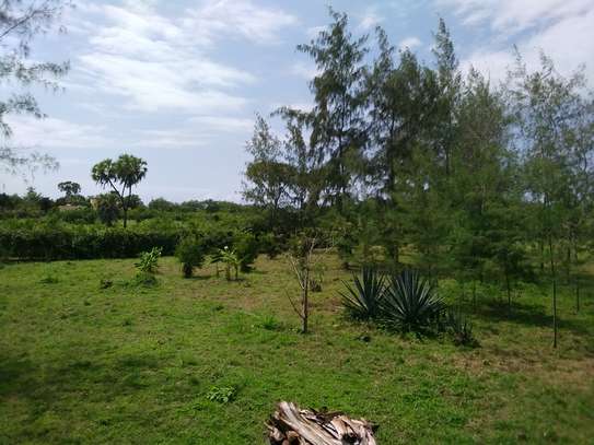 Prime Plots Diani Galu 1/4 Acre, 700m to Beach image 5