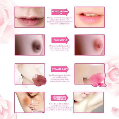 Pei Mei Pink Essence For Lips, Areolas And Private Parts-30g image 3