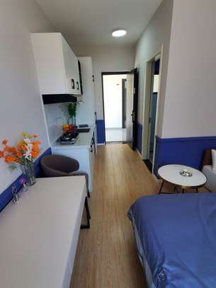 Studio Apartment with Swimming Pool at Dagoretti Corner image 2