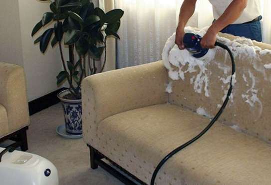 Nairobi Domestic Cleaning Services | Gardening Services | Mattress Cleaning | Window Cleaning | Carpet and Upholstery Cleaning | Rubbish Removal |Domestic Workers | Professional House Cleaners & Nannies.Call now       image 15