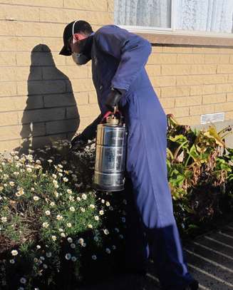 24 Hour  Fast Fumigation & Pest control - Bed Bugs & Cockroaches control | Best Office & Domestic Cleaning Nairobi.100% Service Guarantee.Get A Free Quote Now image 9