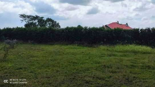 5,000 ft² Residential Land in Malaa image 4