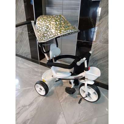 Generic Push Tricycle With Canopy Protective Bar image 1