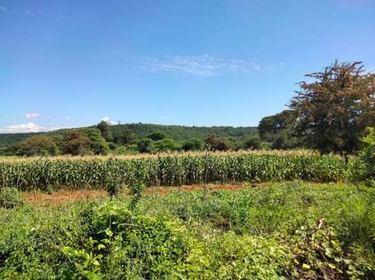 20 Acres or More Is For Sale In Masinga Dam and Thika River image 1
