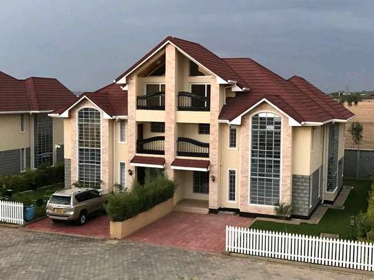 A luxurious 4 bedroomed massionate with a Dsq image 10