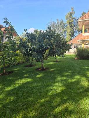 6 Bed Townhouse with Staff Quarters in Karen image 19