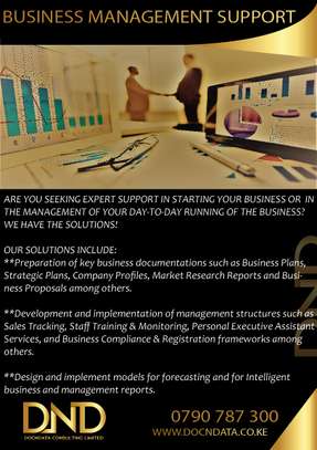 Business Management and Data Solutions Support image 2