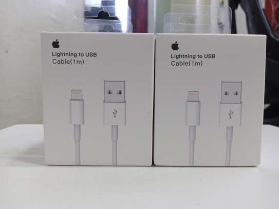 USB Cable With Lightning Connector – Apple image 1