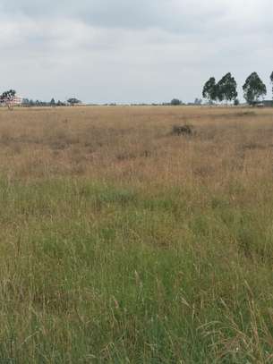 Land in Katani image 8