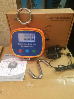 300 kgs rechargeable crane scale image 1