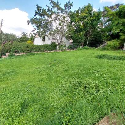 0.6 ac Residential Land at Peponi Gardens image 6