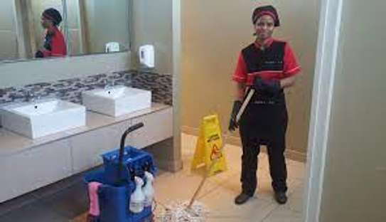 BEST CLEANING SERVICES,FUMIGATION & PEST CONTROL THIKA image 6