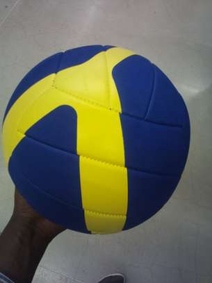 Volleyballs image 5
