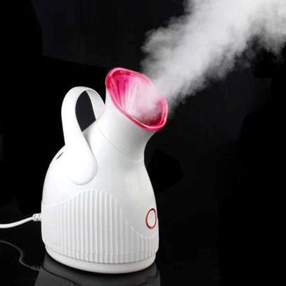 Phyopus Facial nano Steamer- Warm Mist Facial Steamer image 2