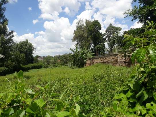 0.5 ac Residential Land in Thome image 5