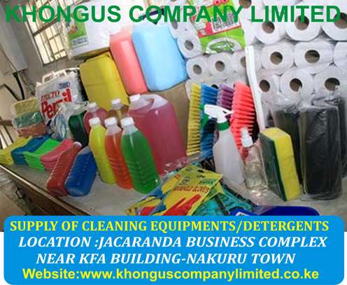 Supply of cleaning materials and detergents image 7