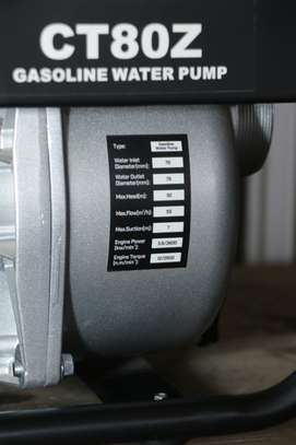 Water pump Carltons UK80Z image 1