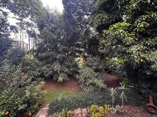 0.51 ac Residential Land in Spring Valley image 6