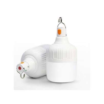 30W Dp Light LED Rechargeable Bulb image 1