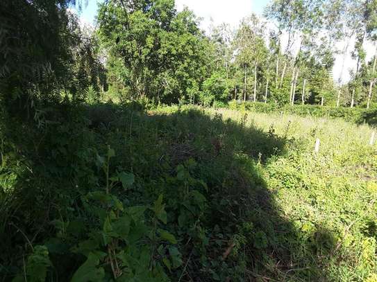 1000 m² residential land for sale in Ngong image 10