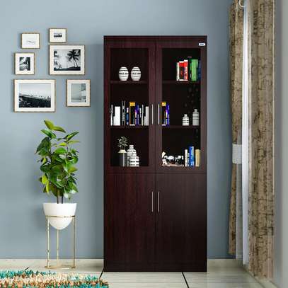 Office Cabinet: 2 Door Mahogany Brown Office Cabinet image 1