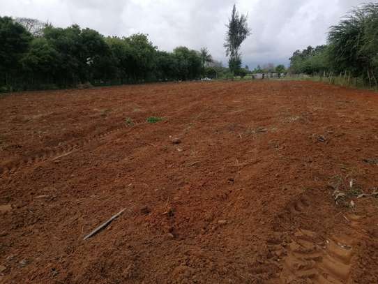 Hot Deal: 50x100 Plots Kilifi Mtamboni– Malkia Phase 1 image 4